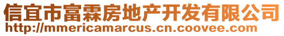 信宜市富霖房地產開發有限公司