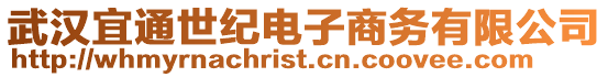 武漢宜通世紀電子商務有限公司