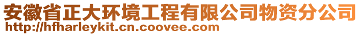 安徽省正大環(huán)境工程有限公司物資分公司