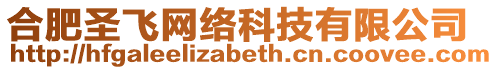 合肥圣飛網絡科技有限公司