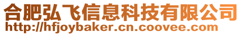 合肥弘飛信息科技有限公司