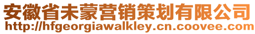 安徽省未蒙營銷策劃有限公司