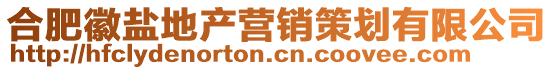 合肥徽鹽地產(chǎn)營(yíng)銷策劃有限公司