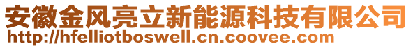 安徽金風(fēng)亮立新能源科技有限公司