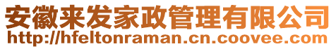 安徽來(lái)發(fā)家政管理有限公司