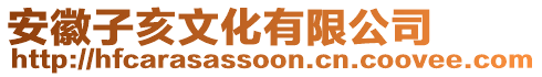 安徽子亥文化有限公司