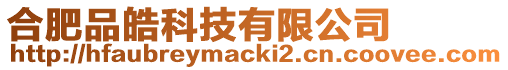 合肥品皓科技有限公司