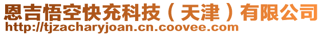 恩吉悟空快充科技（天津）有限公司