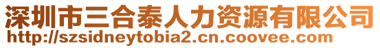 深圳市三合泰人力資源有限公司