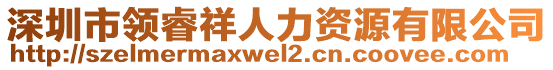 深圳市領睿祥人力資源有限公司