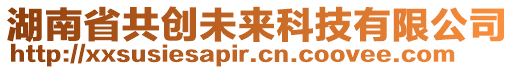 湖南省共創未來科技有限公司