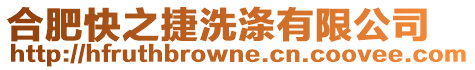 合肥快之捷洗滌有限公司