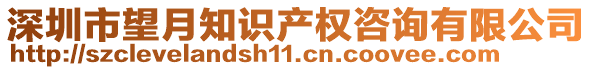 深圳市望月知識產權咨詢有限公司