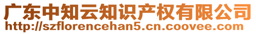廣東中知云知識產(chǎn)權(quán)有限公司
