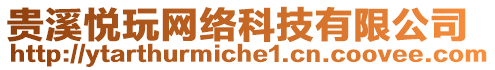 貴溪悅玩網絡科技有限公司
