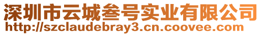 深圳市云城叁號實業有限公司