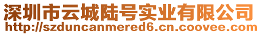 深圳市云城陸號實業有限公司