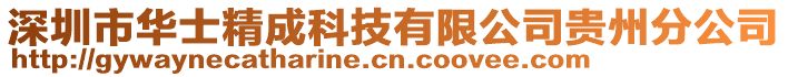 深圳市華士精成科技有限公司貴州分公司