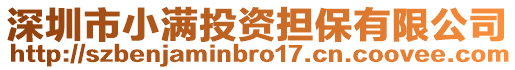 深圳市小滿投資擔保有限公司