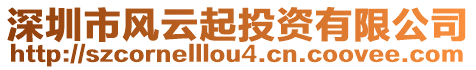 深圳市風(fēng)云起投資有限公司