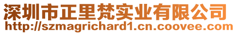 深圳市正里梵實業(yè)有限公司