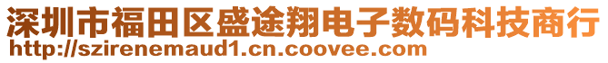 深圳市福田區盛途翔電子數碼科技商行