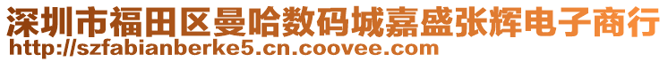 深圳市福田區(qū)曼哈數(shù)碼城嘉盛張輝電子商行