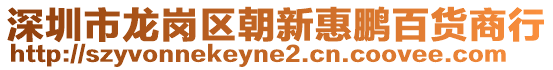 深圳市龍崗區朝新惠鵬百貨商行