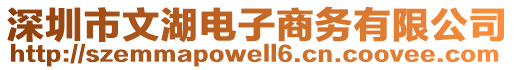 深圳市文湖電子商務有限公司