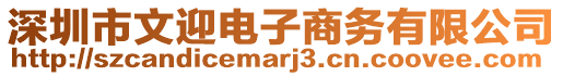深圳市文迎電子商務(wù)有限公司