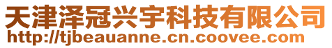 天津澤冠興宇科技有限公司