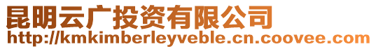 昆明云廣投資有限公司