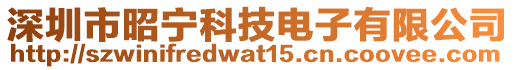 深圳市昭宁科技电子有限公司