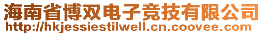 海南省博雙電子競技有限公司