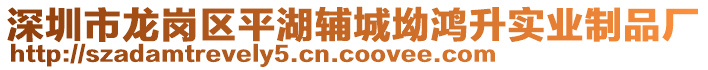 深圳市龍崗區平湖輔城坳鴻升實業制品廠