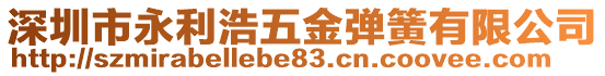 深圳市永利浩五金彈簧有限公司