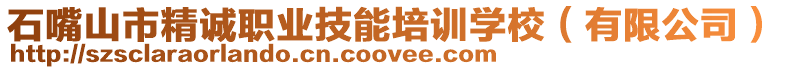 石嘴山市精誠職業技能培訓學校（有限公司）
