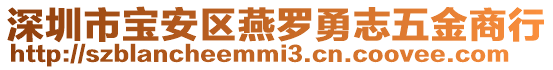 深圳市寶安區(qū)燕羅勇志五金商行