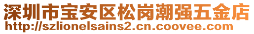 深圳市寶安區松崗潮強五金店