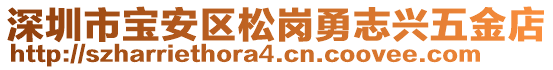 深圳市寶安區(qū)松崗勇志興五金店
