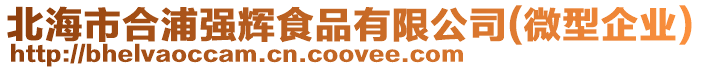 北海市合浦強輝食品有限公司(微型企業)