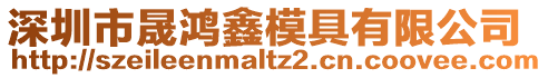 深圳市晟鴻鑫模具有限公司