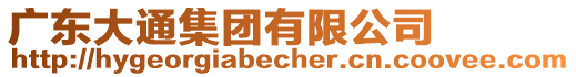 廣東大通集團有限公司