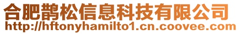 合肥鵲松信息科技有限公司
