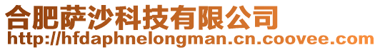 合肥薩沙科技有限公司