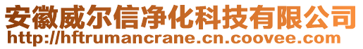 安徽威爾信凈化科技有限公司