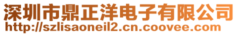 深圳市鼎正洋電子有限公司