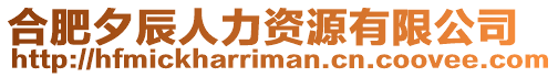 合肥夕辰人力資源有限公司