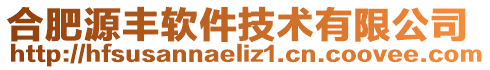 合肥源豐軟件技術(shù)有限公司