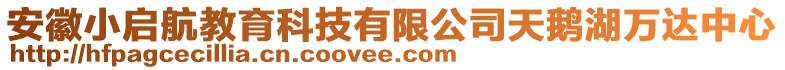 安徽小啟航教育科技有限公司天鵝湖萬達中心